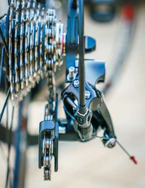 Lubrication Methods for Optimal Chain Function