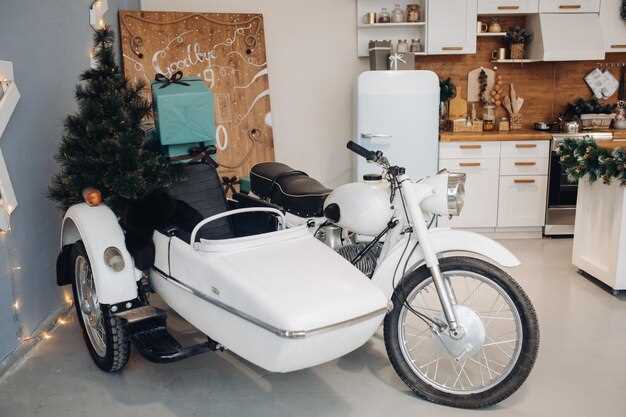 Environmental Impact: Emissions and Sustainability of Electric and Gas Bikes